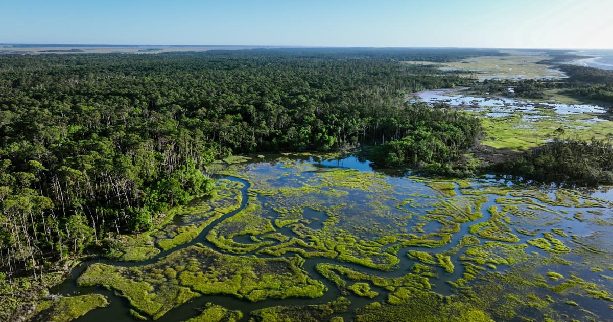 Aerial view of the Gullah Geechee Heritage Corridor in South Carolina. Photo by Asha Stuart